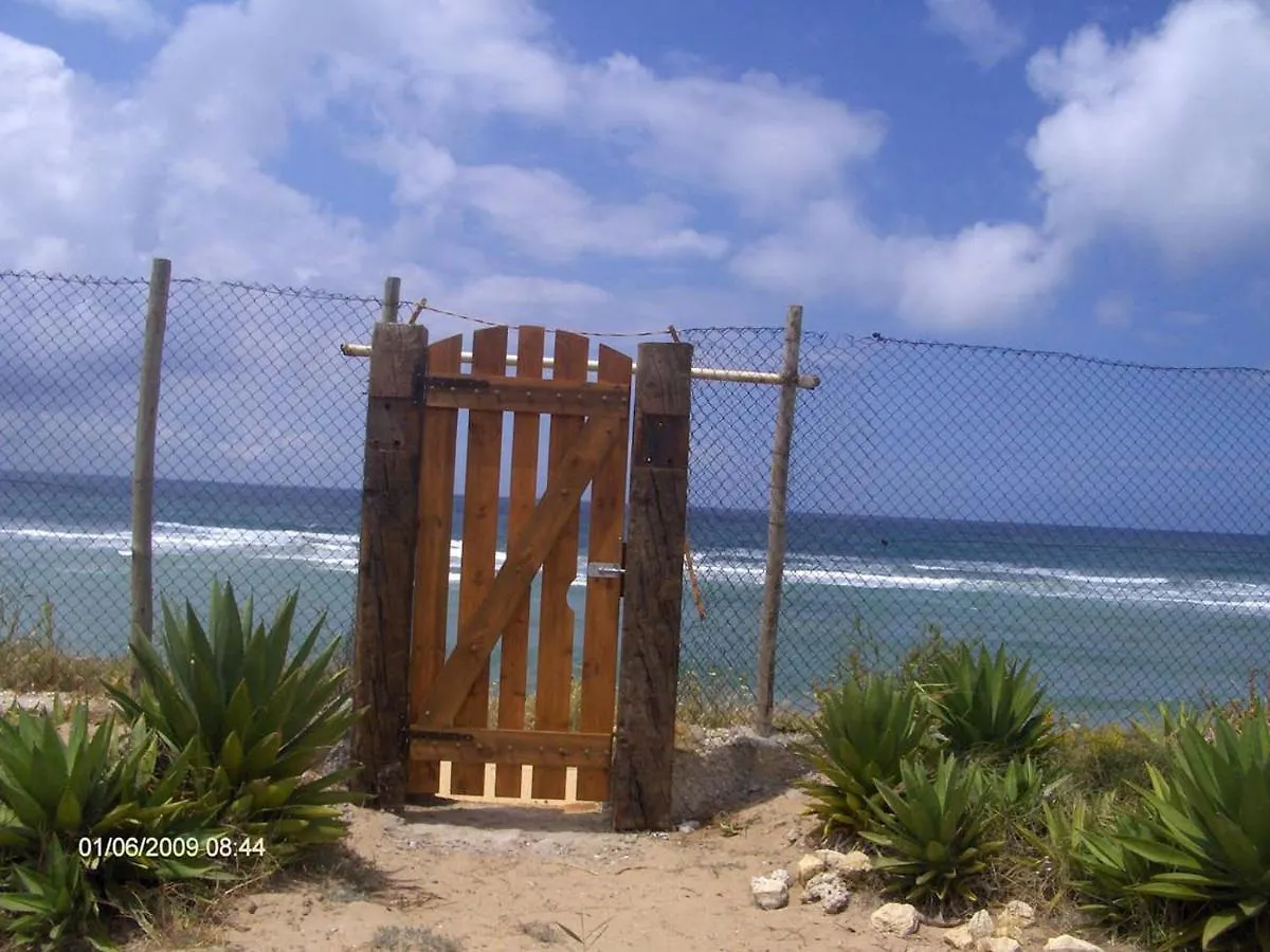 Villa Malyma Beach Front 10,000M2 Botanic Garden Zahora Spain