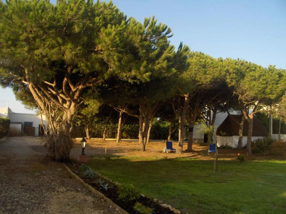Villa Malyma Beach Front 10,000M2 Botanic Garden Zahora 0*,  Spain