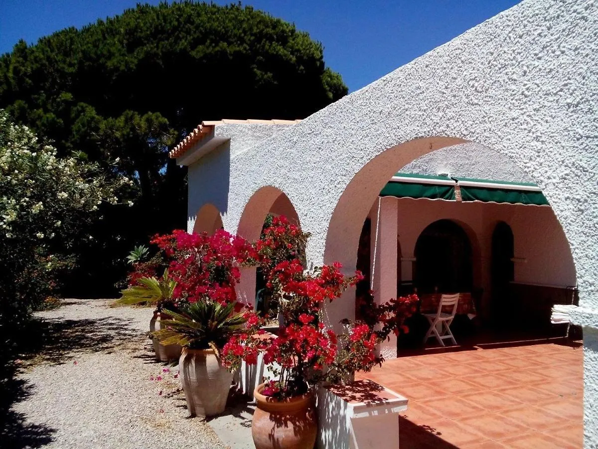 Villa Malyma Beach Front 10,000M2 Botanic Garden Zahora Spain