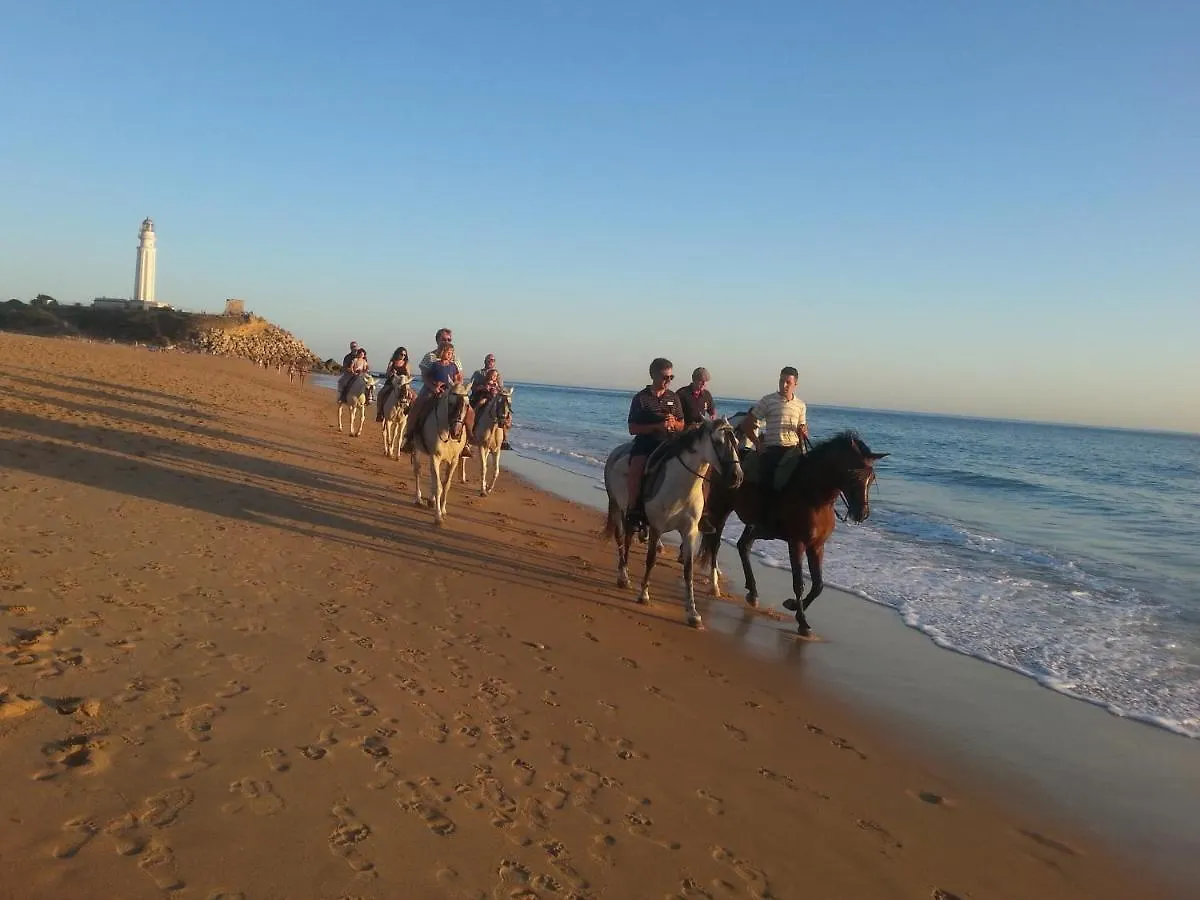 Villa Malyma Beach Front 10,000M2 Botanic Garden Zahora Spain